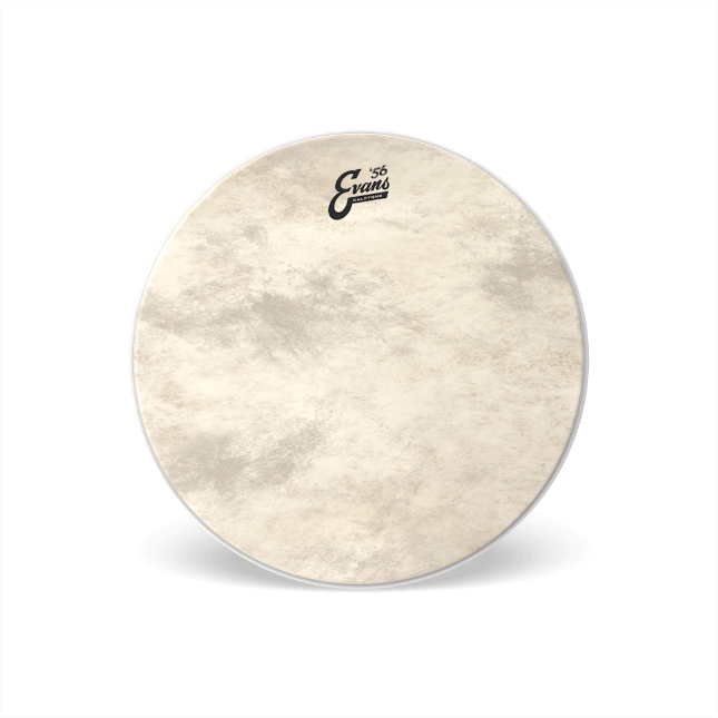 Evans Calftone Bass Drum Head, 22 Inch