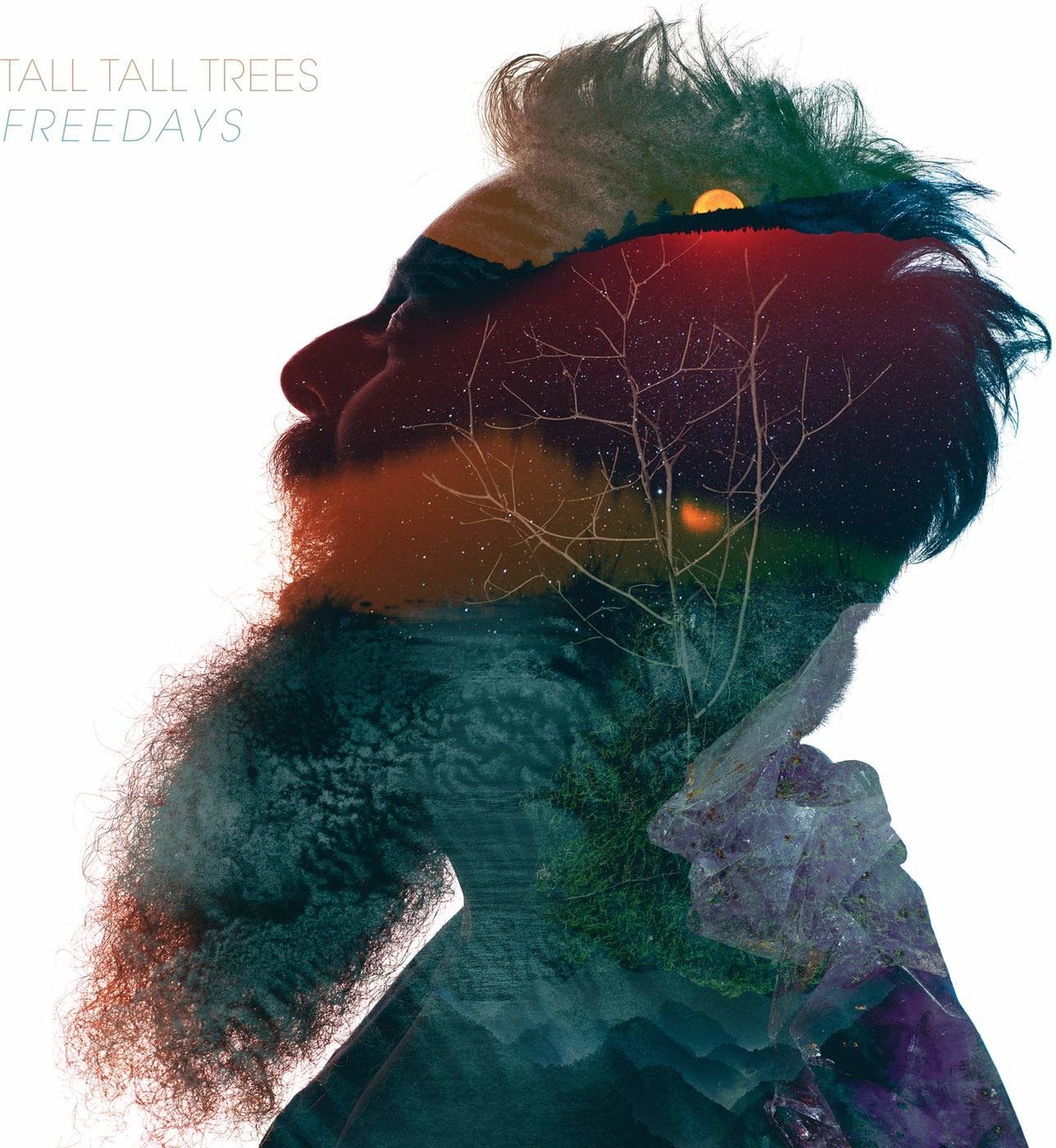 Tall Tall Trees / Freedays (White Vinyl)
