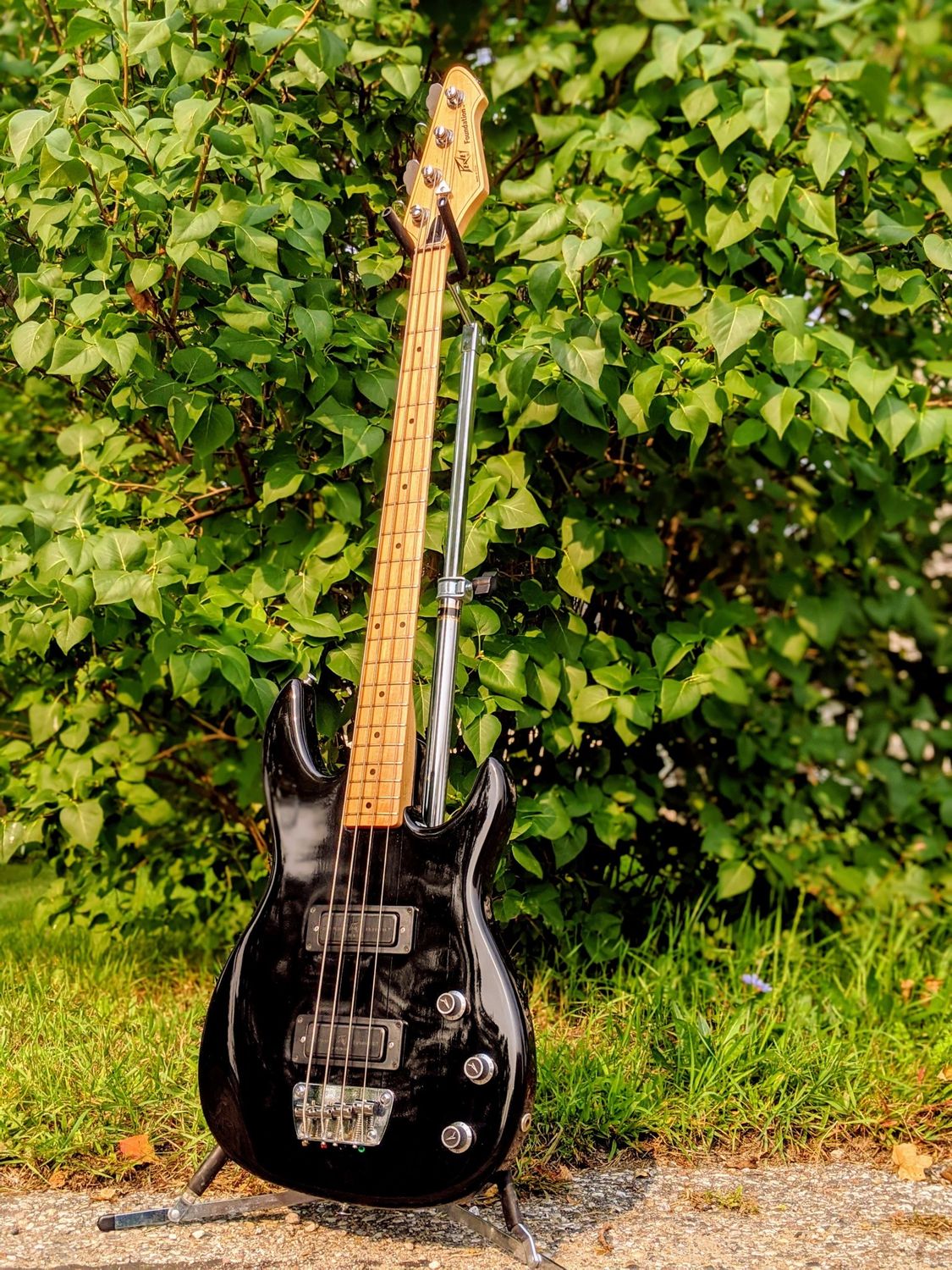 Used U.S.A.-Made Peavey Foundation Bass in Black w/Hardshell Case