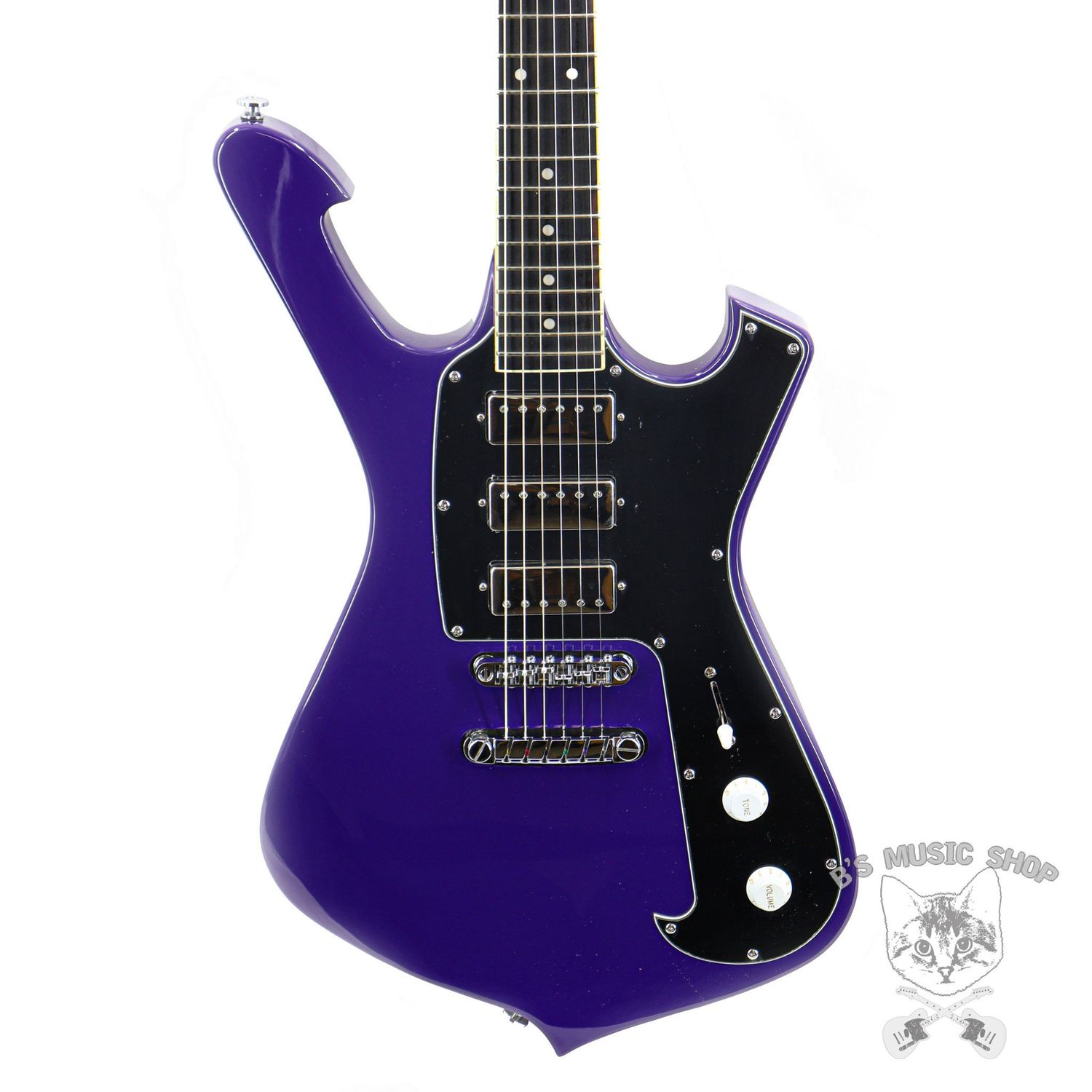 Ibanez Paul Gilbert Signature FRM300 Electric Guitar - Purple