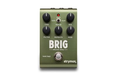 Strymon Brig - Certified Organic Echo