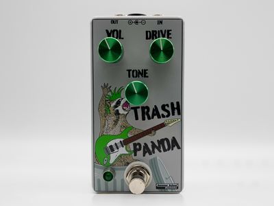 Summer School Electronics Trash Panda