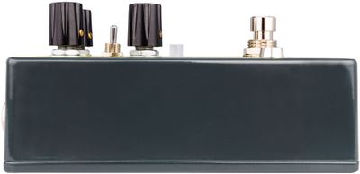 EarthQuaker Devices Ledges Tri-Dimensional Reverberation Machine