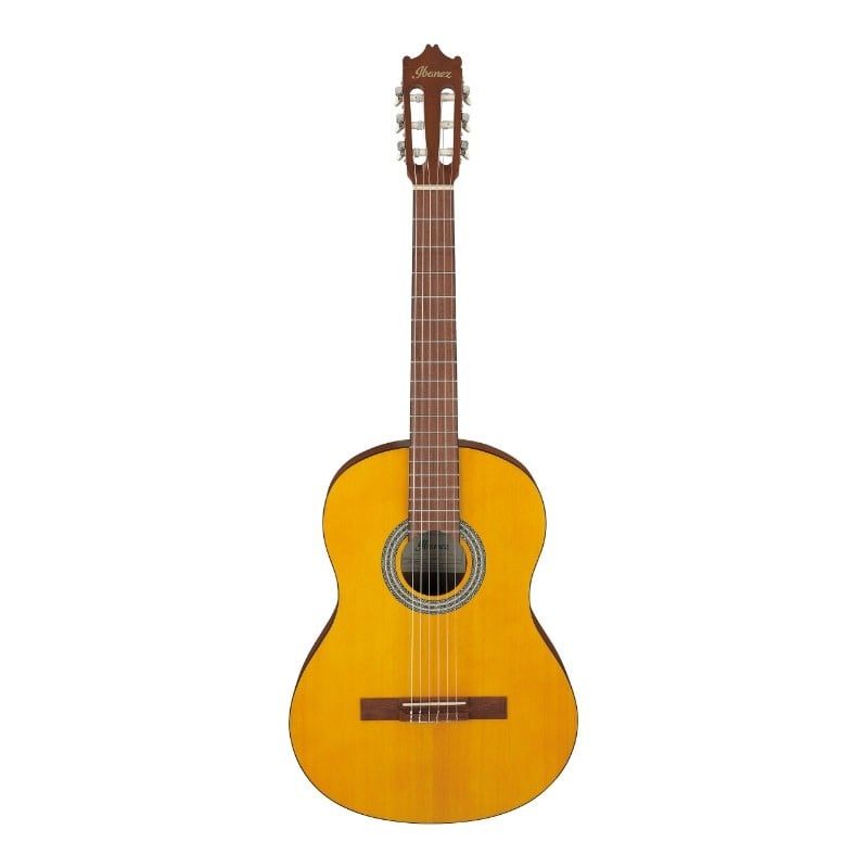 Ibanez GA3 in Open Pore Amber