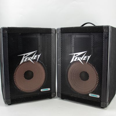 Used Peavey 110DL (Pair)