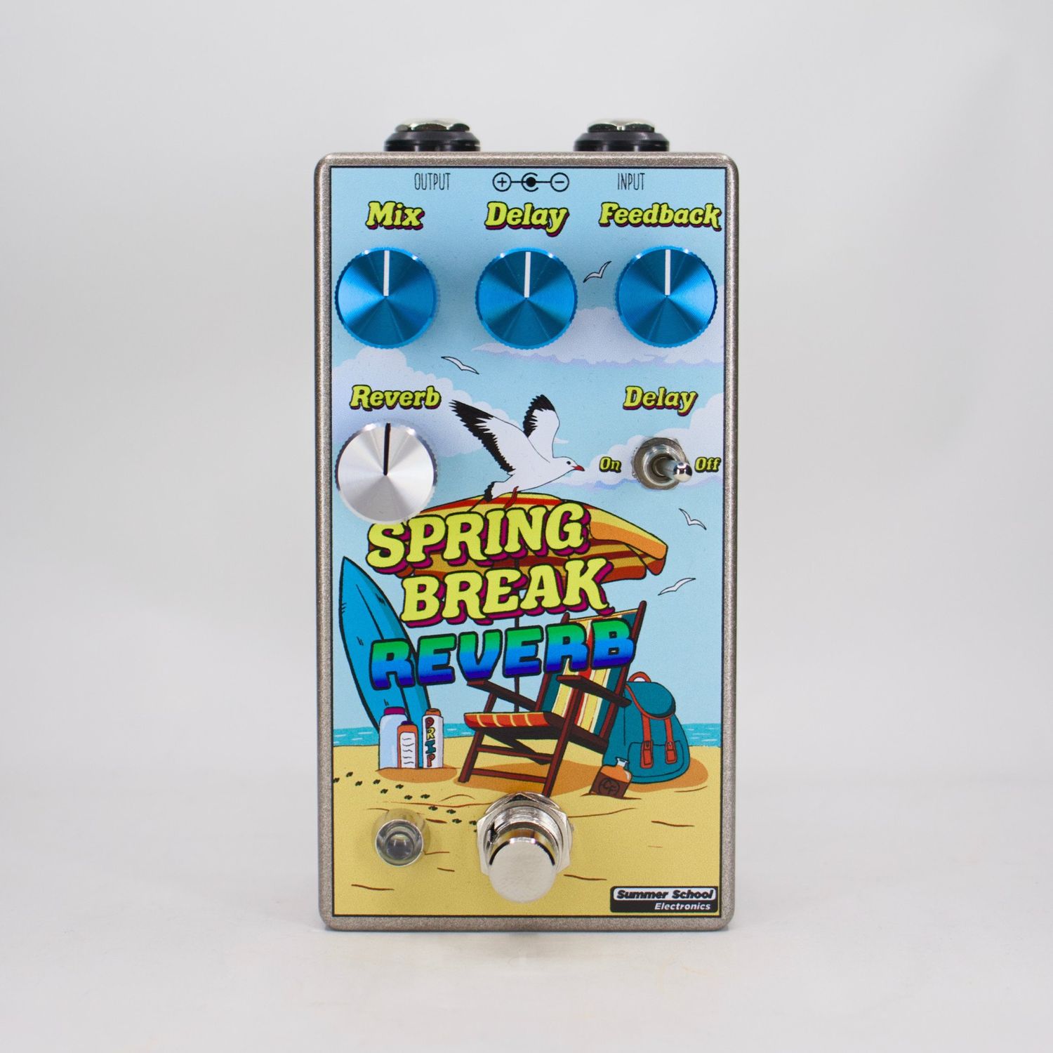 Summer School Electronics Spring Break Reverb