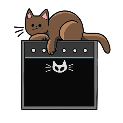 Electric Guitar Amplifiers