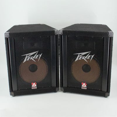 Used Peavey (PAIR) 110TLS Trapezoidal PA Speaker – Very Good Condition