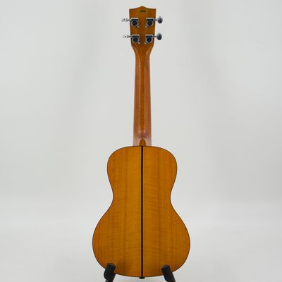 Kala Exotic Mahogany Concert Ukulele
