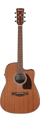 Ibanez PF54CE in Open Pore Natural