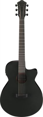 Ibanez AEG621BOT AEG Acoustic Guitar in Black Out