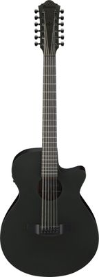 Ibanez AEG1221BOT AEG Acoustic Guitar in Black Out