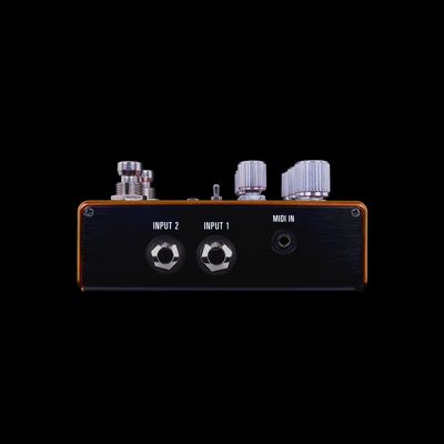 Source Audio - Pathways Reverb &amp; Tremolo