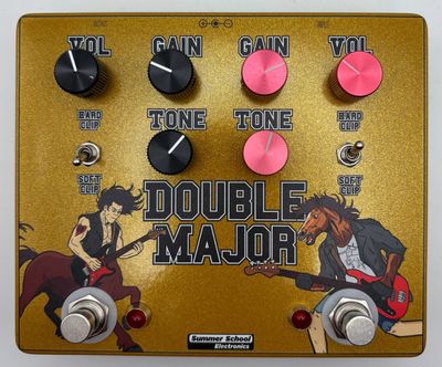 Summer School Electronics - Double Major