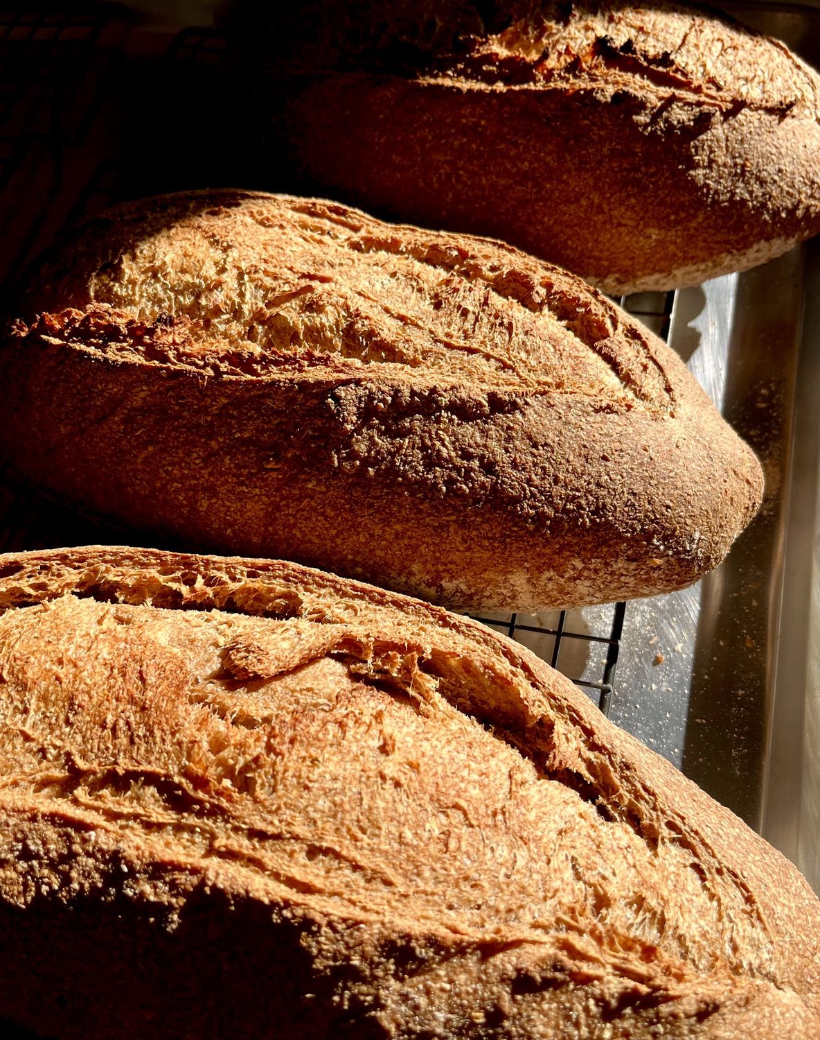 Crusty Farm Loaf (Derry)