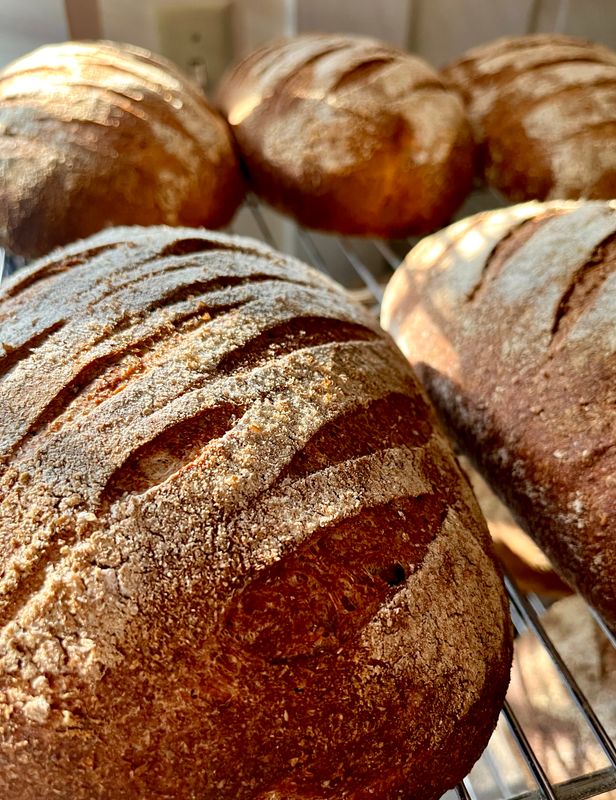 Buttermilk Country Loaf (Derry)