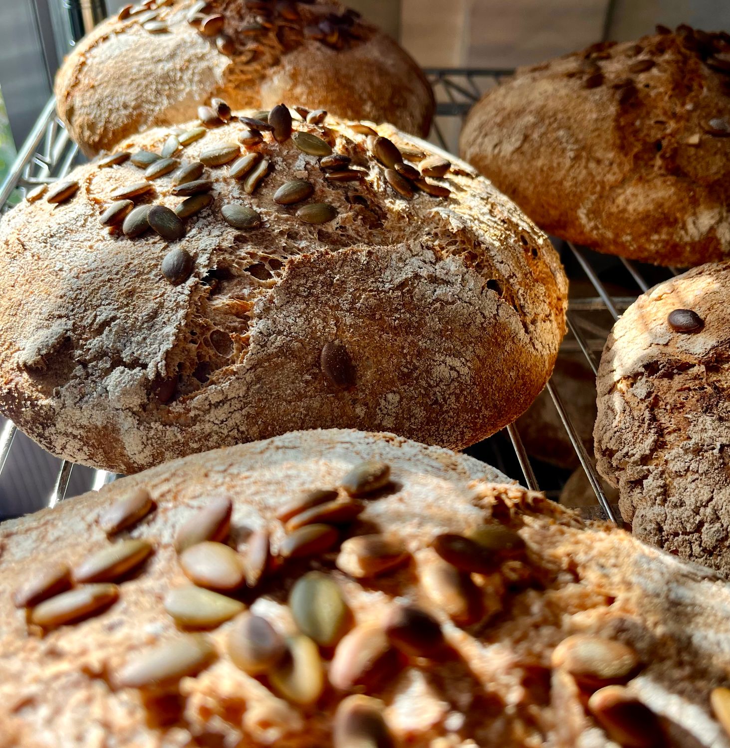 Pumpkin Seed Spelt (Derry)