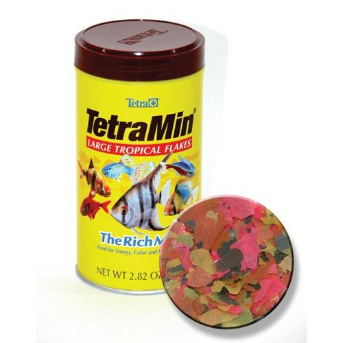 Tetra TetraMin XL Tropical Flakes  Nutritionally Balanced Fish Food  2.82 oz