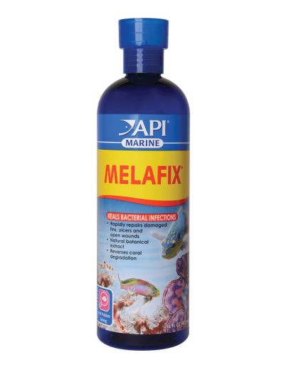 API Marine Melafix  Saltwater Fish And Coral Bacterial Infection Remedy  16 oz