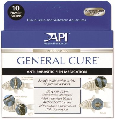 API General Cure Freshwater and Saltwater Fish Powder Medication 10-Count Box