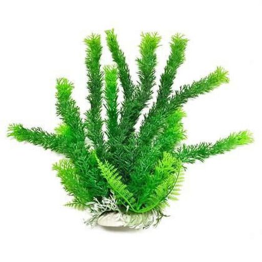 AQUATOP 20 Inch Cabomba-Like Aquarium Plant with Weighted Base PD-BH05