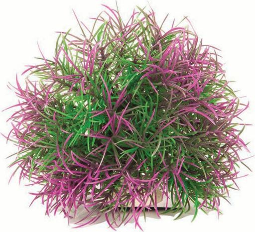 AQUATOP 5 Inch Big Purple and Green Ball with Weighted Base  PD-T30