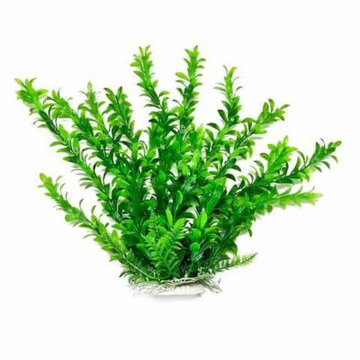 Aquatop® Anacharis-Like Aquarium Plant 6 Inch Green Color with Weighted Base PD-BH06