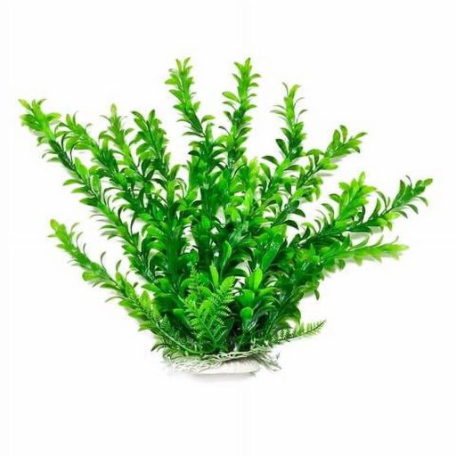 Aquatop® Anacharis-Like Aquarium Plant 6 Inch Green Color with Weighted Base PD-BH06