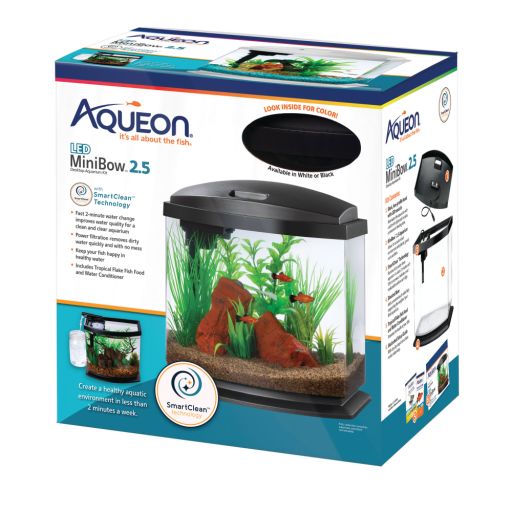 Aqueon Mini Bow 2.5 Gal Aquarium Kit  Black