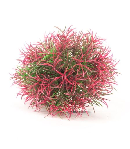 AQUATOP PD-T28 5 Inch Big Red and Green Ball with weighted base