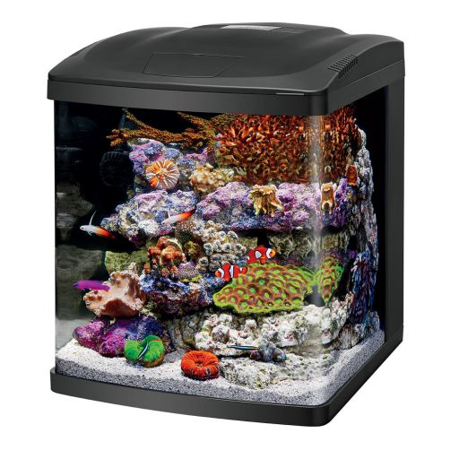 Coralife Bio Cube LED Aquarium