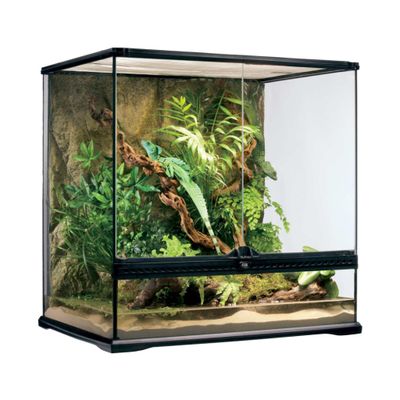 Exo Terra Glass Terrarium Tank, 24 by 18 by 24-Inch