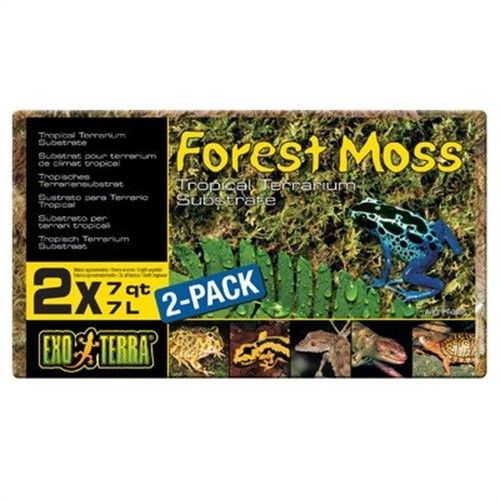 Exo-Terra Forest Plume Moss