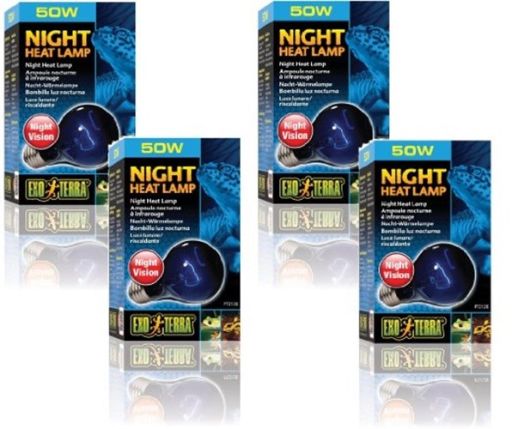 Exo Terra Night Heat Lamp for Reptiles