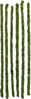 Galapagos Mossy Sticks  32in 6 Pcs Terrarium Habitat Décor Reptile