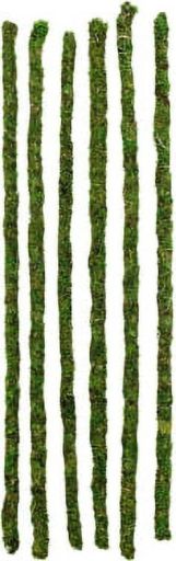 Galapagos Mossy Sticks  32in 6 Pcs Terrarium Habitat Décor Reptile