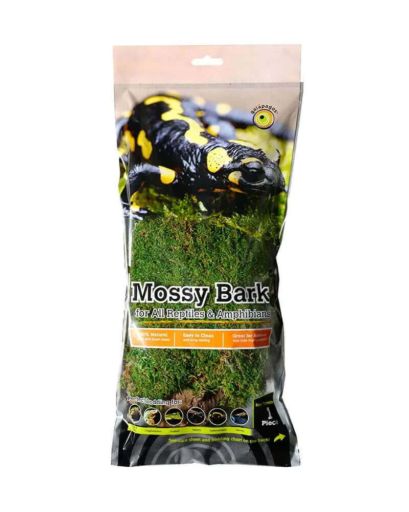 Galapagos Basking Bark with Moss