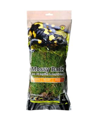 Galapagos Basking Bark with Moss