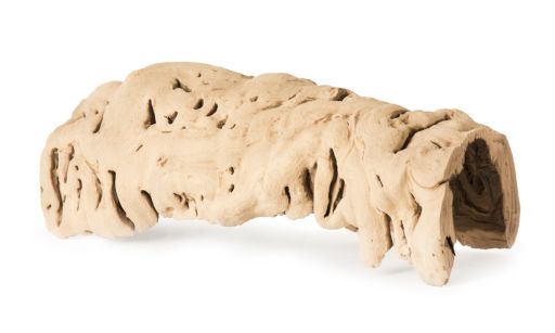 Galapagos Hollow Hide 10-14