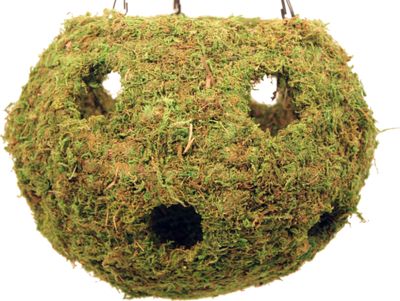 Woven Moss Cave with Holes (12in)