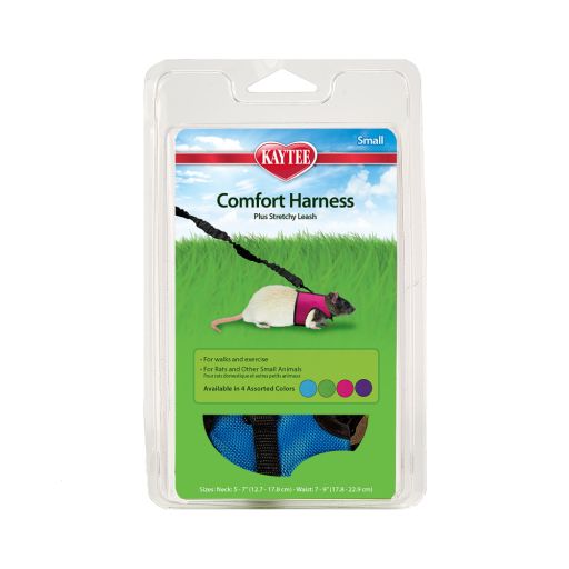 Kaytee Comfort Walking Harness and Stretch Leash  Harness for Ferrets &amp; Small Animals