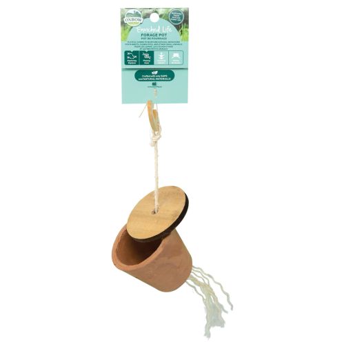 Oxbow Enriched Life Forage Pot for Small Animals