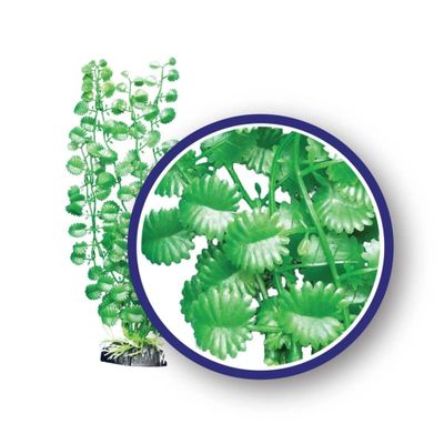 Weco Freshwater Series Japanese Cress Ornaments Tropical Aquatic Plants 6 inches