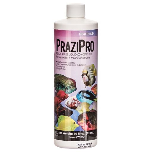 Hikari 16 Oz Aquarium Solutions Prazi Pro