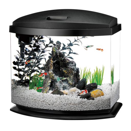 Aqueon 1 Gal Mini Bow Black Aquarium Kit