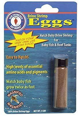 San Francisco Bay Brands Brine Shrimp Eggs - 65031