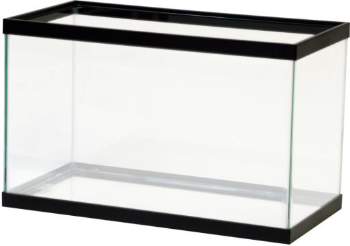 Aqueon Standard Glass Aquarium Tank 10 Gallon