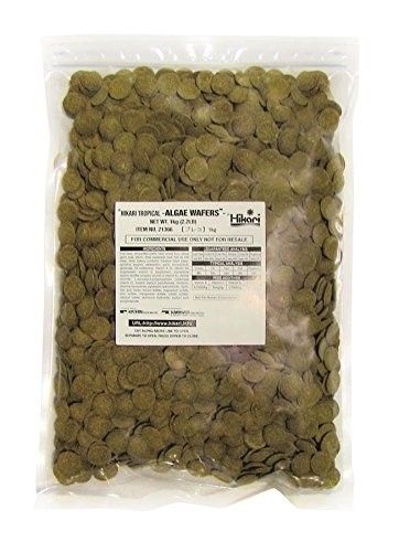 Hikari Algae Wafers Fish Food 2.2 Lb