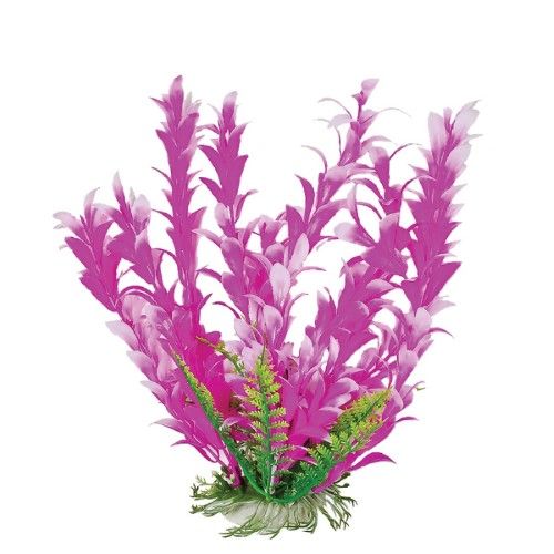 AQUATOP 6 Inch Bacopa-Like Aquarium Plant with Weighted Base PD-BH21