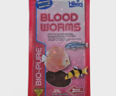 Hikari Bio-Pure Frozen Bloodworm Fish Food, 16 Oz Flat